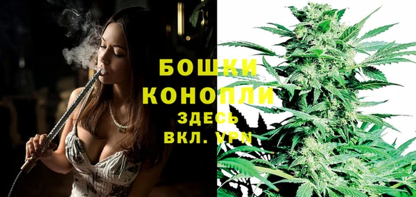 PSILOCYBIN Абдулино