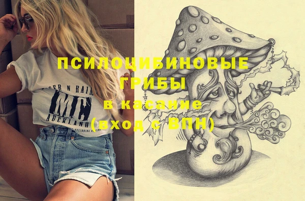 PSILOCYBIN Абдулино