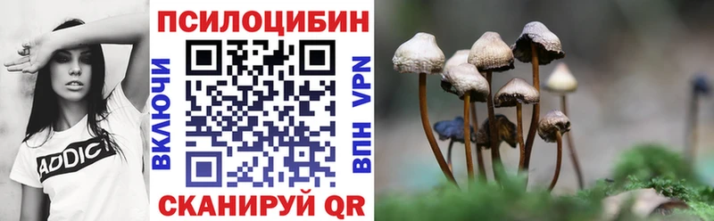 закладки  Миллерово  Псилоцибиновые грибы Cubensis 