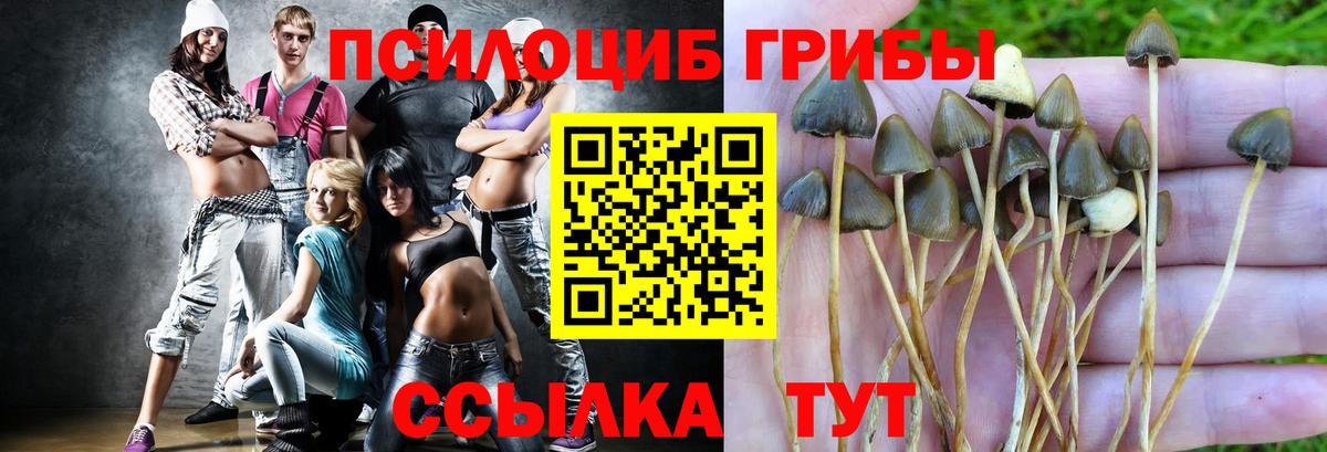 Галлюциногенные грибы GOLDEN TEACHER  Вход с VPN  Псилоцибиновые грибы мицелий  Миллерово 